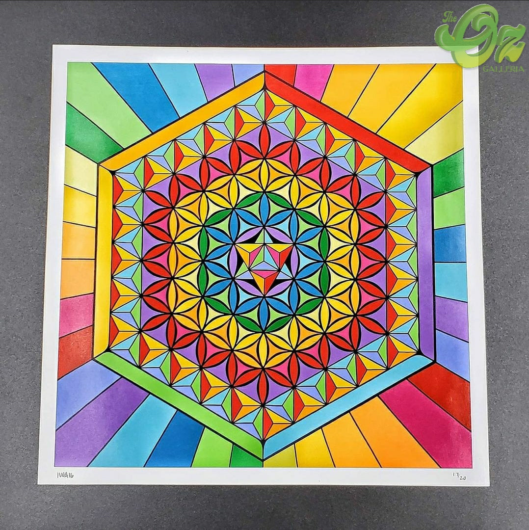 Rainbow Geometry by Wigged Out Art