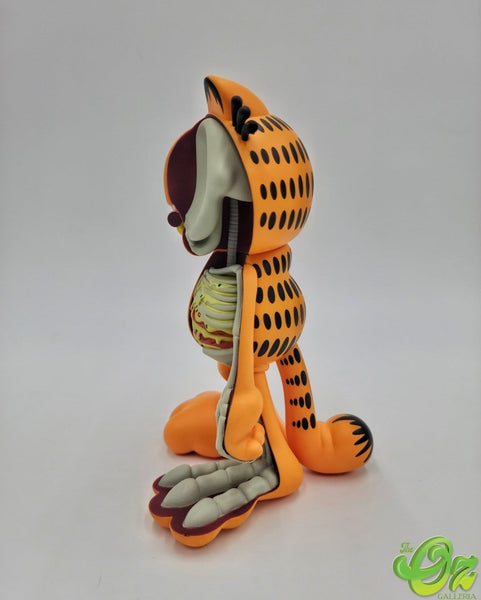 XXRay Plus Garfield by Jason Freeny